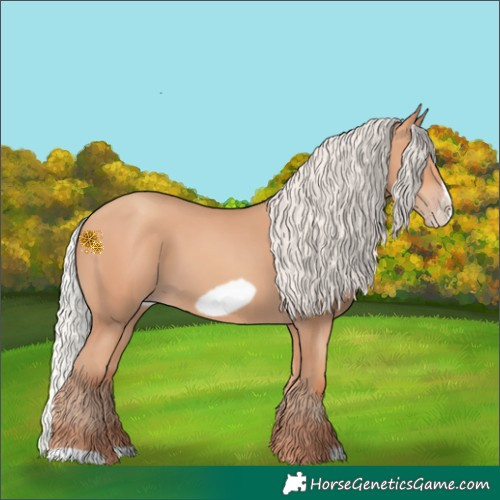 Horse Color:Silver Amber Champagne Frame 