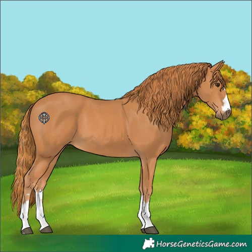 Horse Color:Unknown 