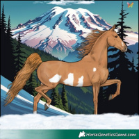 Horse Color:Chestnut  and Chestnut Frame 