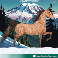 Horse Color:Bay  and Amber Champagne 