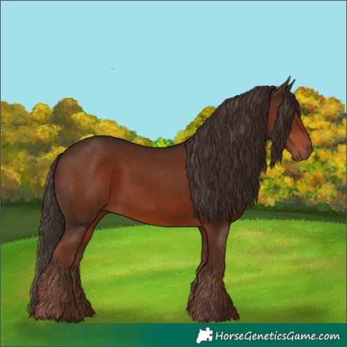 Horse Color:Liver Chestnut Rabicano 