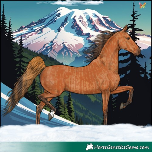 Horse Color:Chestnut and Bay