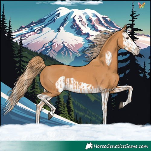 Horse Color:Chestnut Frame and Chestnut Splash Frame