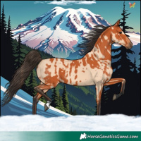 Horse Color:Bay and Bay Dun