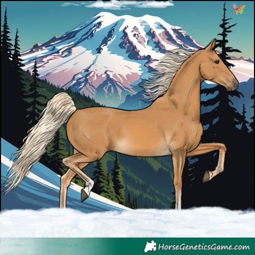 Horse Color:Palomino  and Palomino 