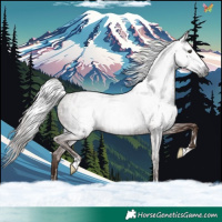 Horse Color:Gray Chestnut  and Gray Chestnut 