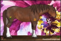 Horse Color:Liver Chestnut Sabino Tobiano 