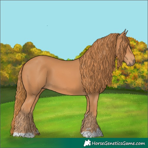 Horse Color:Chestnut 
