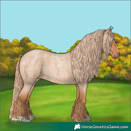 Horse Color:Red Roan 