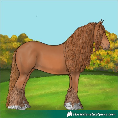 Horse Color:Chestnut 