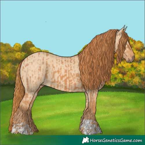 Horse Color:Chestnut  and Red Dun 
