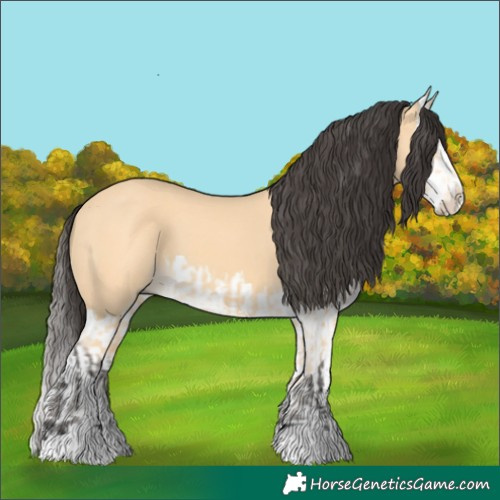 Horse Color:Buckskin  and Buckskin Splash 