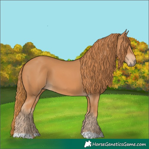 Horse Color:Chestnut 