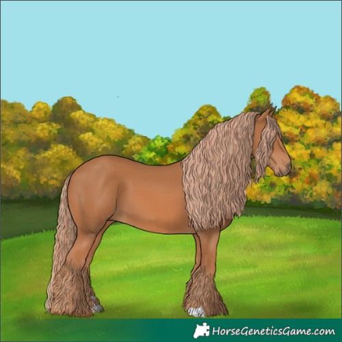 Horse Color:Chestnut 