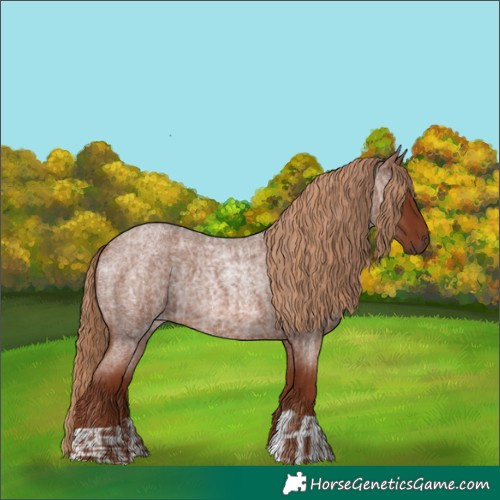 Horse Color:Red Roan and Red Roan