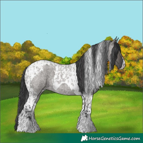Horse Color:Grullo Roan Tobiano  and Grullo Roan Tobiano 