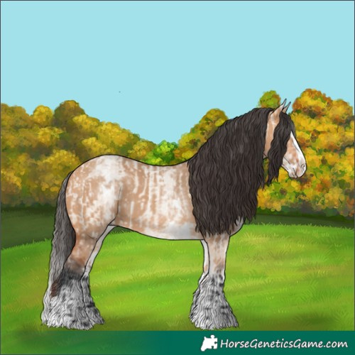 Horse Color:Bay Roan Dun Splash and White Spotted Bay Dun Splash