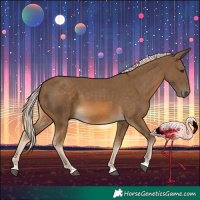 Horse Color:Chocolate Palomino 