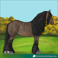 Horse Color:Brown Dun Rabicano  and Gray Brown Dun Rabicano 