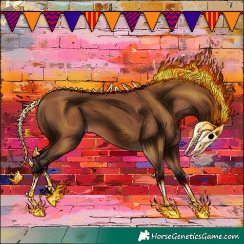 Horse Color:Bay Rabicano 