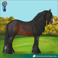 Horse Color:Brown Sabino 
