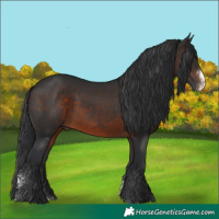 Horse Color:Brown Sabino 