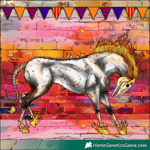 Horse Color:Bay Appaloosa Rabicano 