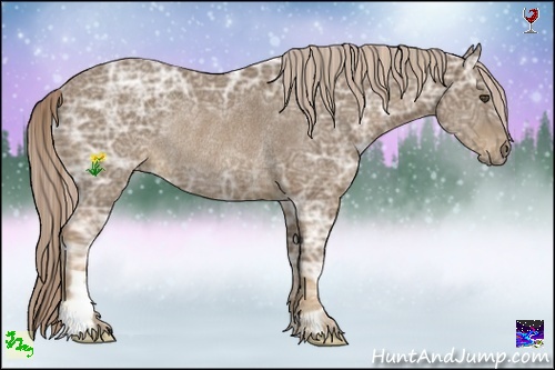 Horse Color:Chocolate Palomino Ice Frame Rabicano 