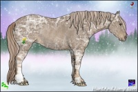 Horse Color:Chocolate Palomino Ice Frame Rabicano