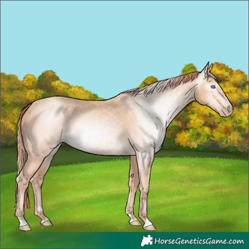 Horse Color:Gray Smoky Creme 