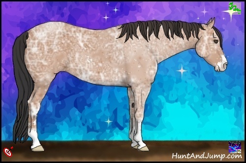 Horse Color:Bay Ice Sabino 