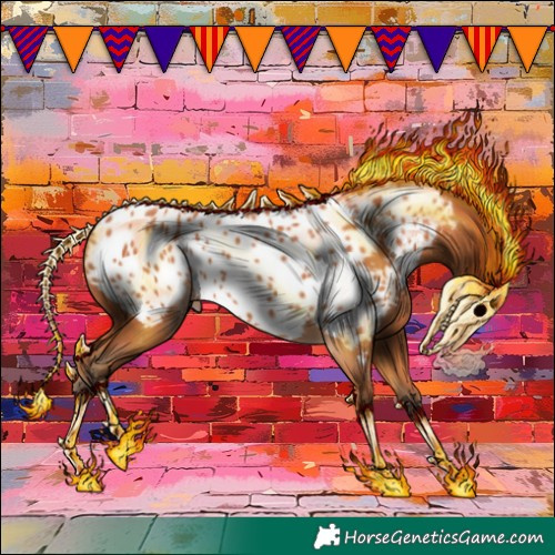 Horse Color:Silver Bay Appaloosa Rabicano 