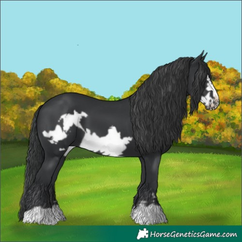 Horse Color:Black Frame
