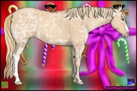 Horse Color:Gold Champagne Ice 