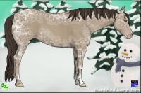 Horse Color:Classic Champagne Ice Sabino