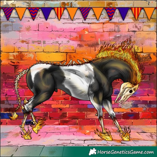 Horse Color:Black Tobiano 