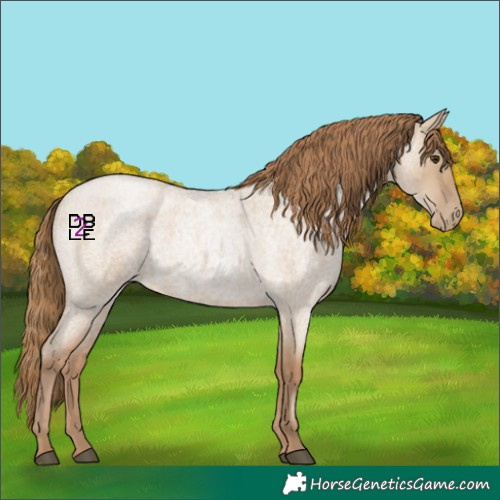 Horse Color:Grullo Roan Pearl 