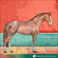 Horse Color:Painted Chestnut Sabino Splash Varnish 