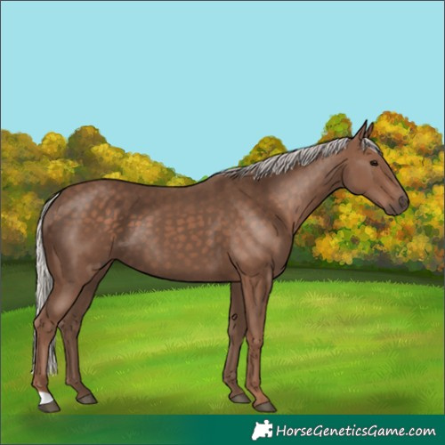 Horse Color:Silver Black 