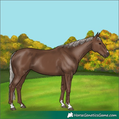 Horse Color:Silver Black 