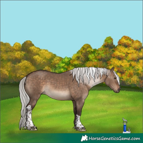 Horse Color:Silver Brown Dun Tobiano 