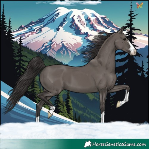 Horse Color:Smoky Grullo 