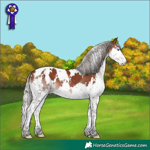 Horse Color:White Spotted Silver Black Splash Tobiano