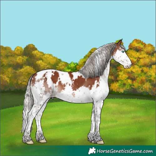 Horse Color:White Spotted Silver Black Splash Tobiano
