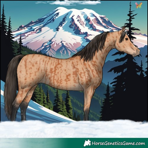 Horse Color:Bay  and Bay Dun 
