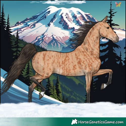 Horse Color:Bay and Bay Dun