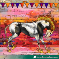 Horse Color:Black Tobiano 