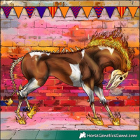 Horse Color:Bay Tobiano Appaloosa