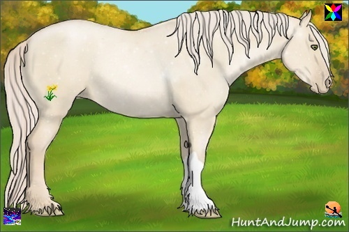 Horse Color:Palomino Pearl Dun 