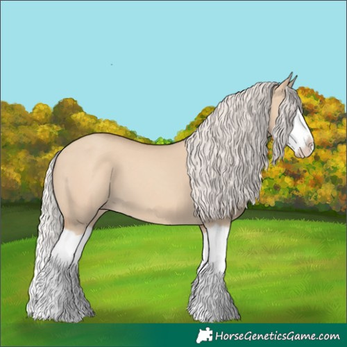 Horse Color:Silver Classic Champagne Dun Splash Frame 